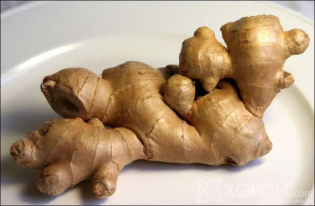 Энэ өдрийн мэнд Цагаан гаа хэзээ ч идэж болохгүй 4 төрлийн бүлэг хүмүүс